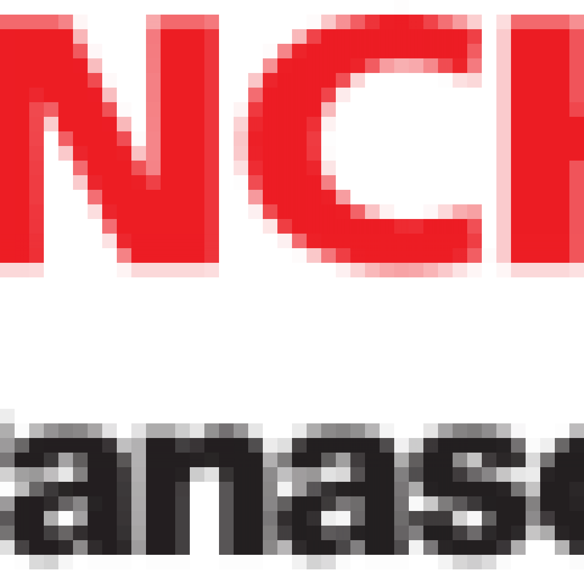 800pxanchor_by_panasonic_logo Nonprofit Sector Strategies